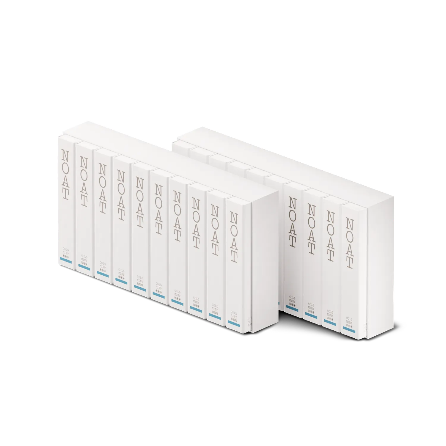 NOAT Cold Mint 10mg sachets mentholés