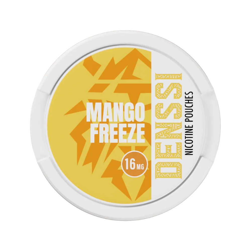 DENSSI sachets nicotine 20 sachets effet froid