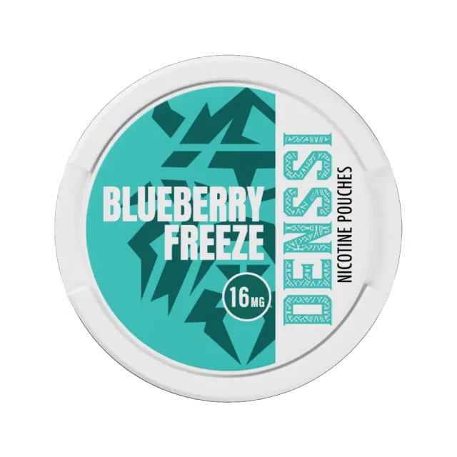 DENSSI sachets nicotine 20 sachets effet froid
