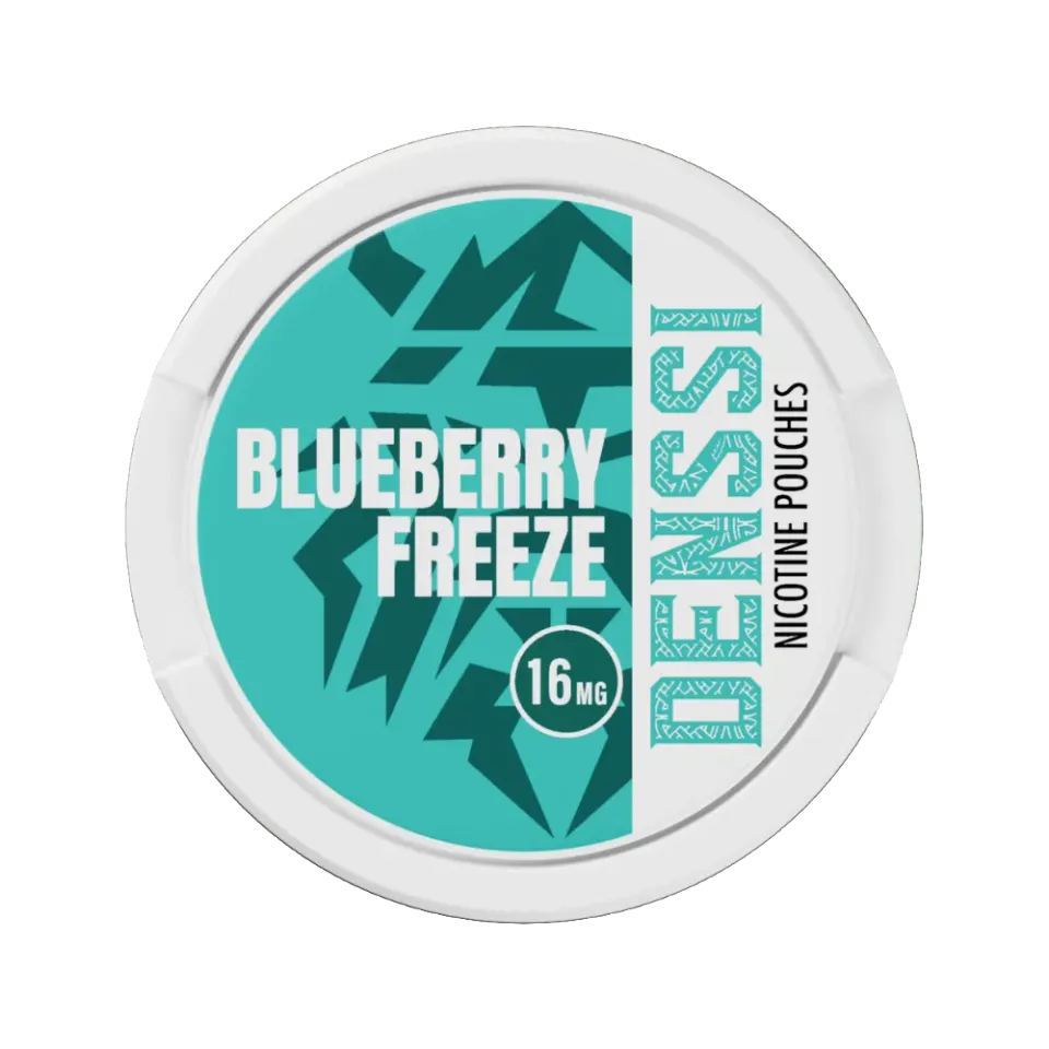 DENSSI sachets nicotine 20 sachets effet froid