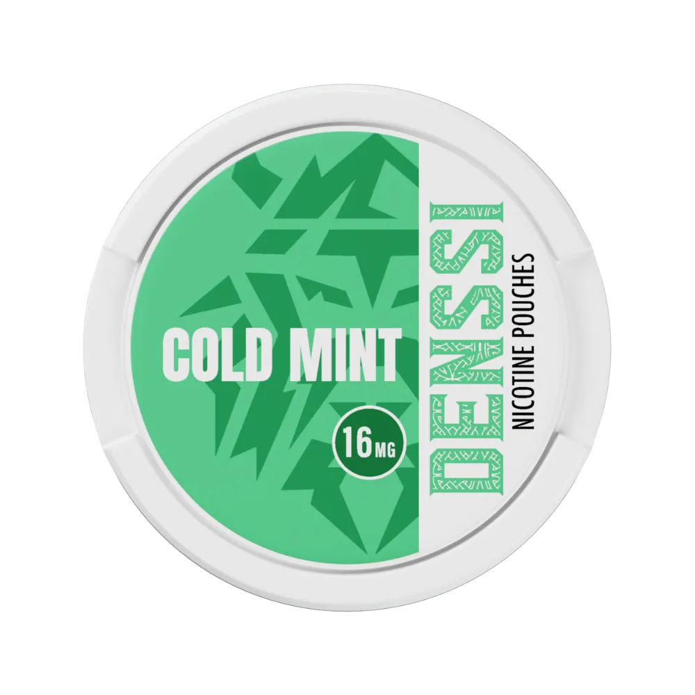 DENSSI sachets nicotine 20 sachets effet froid