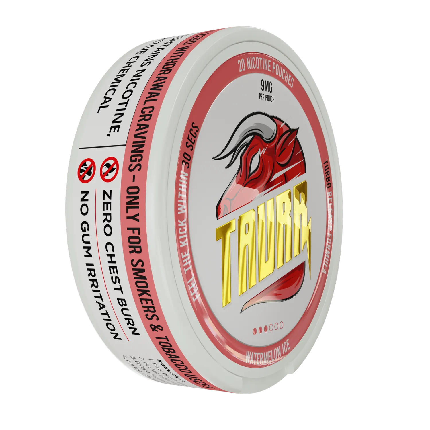 TAURR Watermelon Ice sachets de nicotine