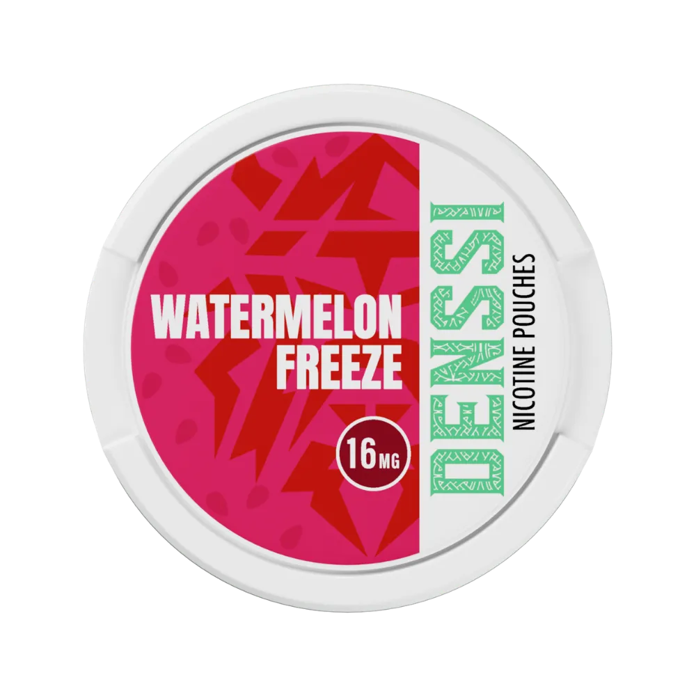 DENSSI sachets nicotine 20 sachets effet froid
