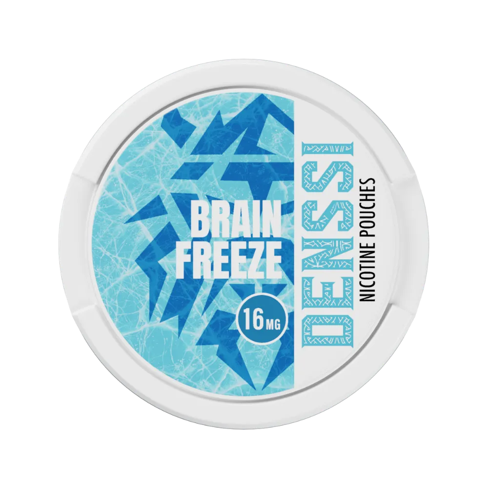 DENSSI sachets nicotine 20 sachets effet froid